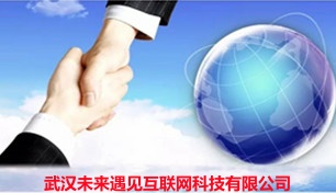 武汉小程序开发-武汉软件开发-武汉网站建设-武汉数据可视化开发-武汉app开发